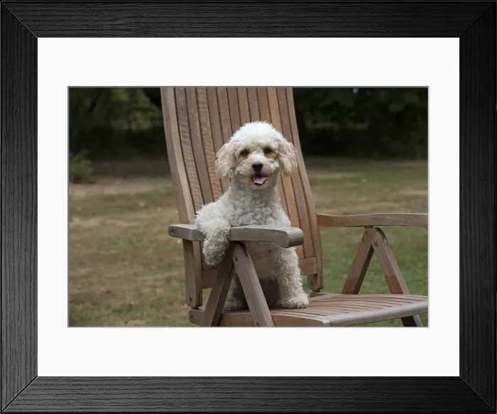 Framed Print : Picture No. 12479471 Framed Print : Picture No. 12479471