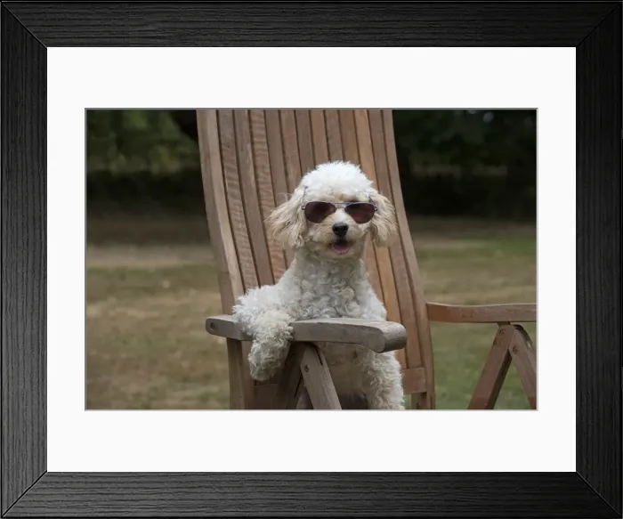 Framed Print : Picture No. 12479472 Framed Print : Picture No. 12479472