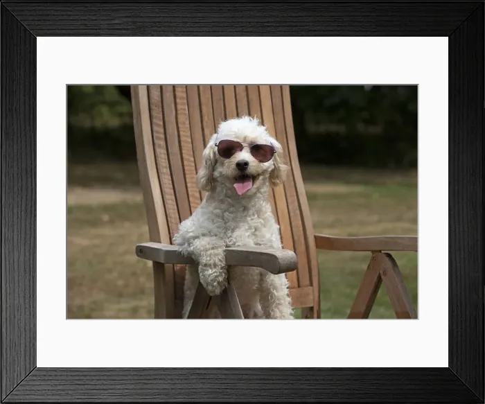 Framed Print : Picture No. 12479473 Framed Print : Picture No. 12479473