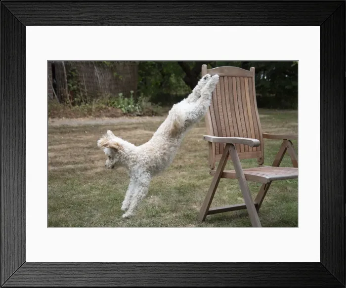 Framed Print : Picture No. 12479484 Framed Print : Picture No. 12479484
