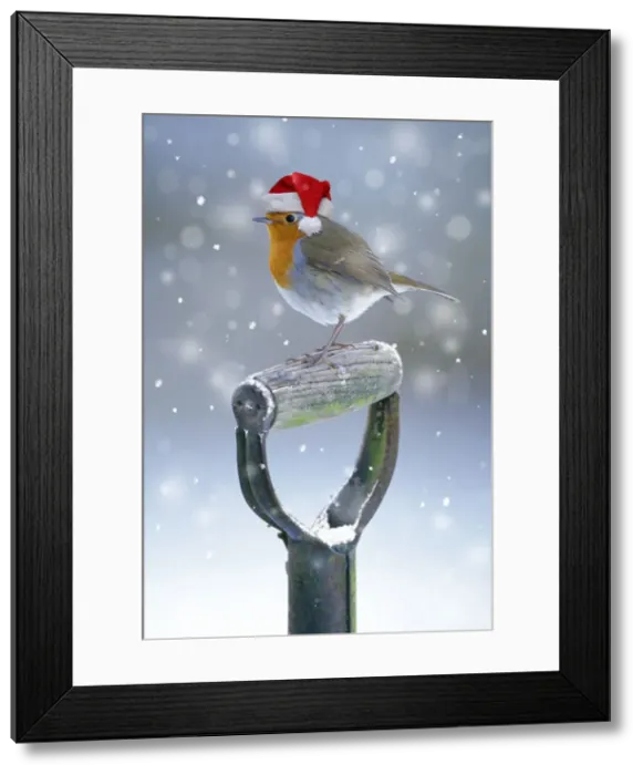 Framed Print : Picture No. 12479601 Framed Print : Picture No. 12479601