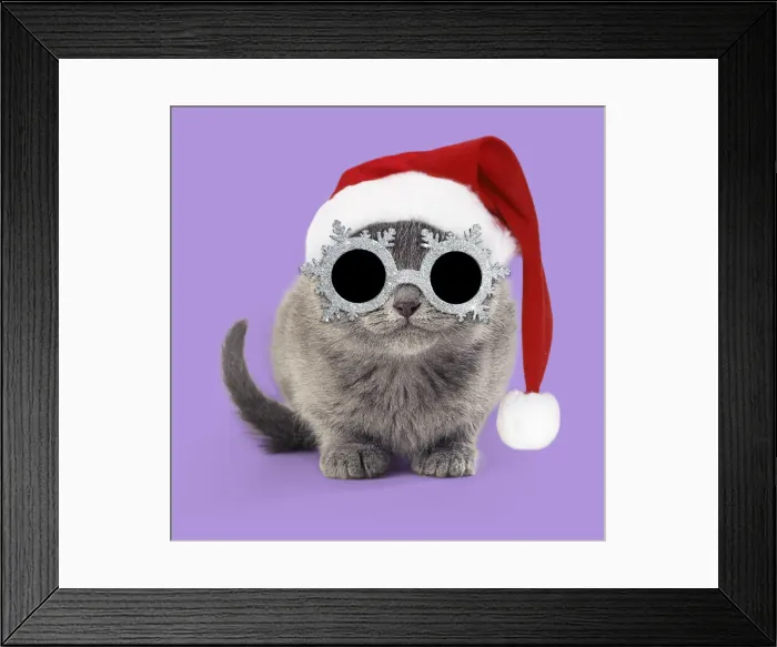 Framed Print : Picture No. 12479600 Framed Print : Picture No. 12479600