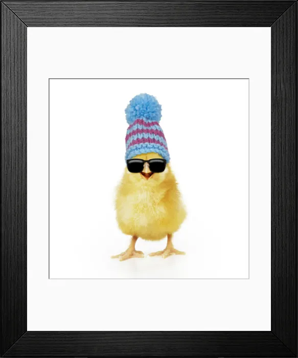 Framed Print : Picture No. 12479606