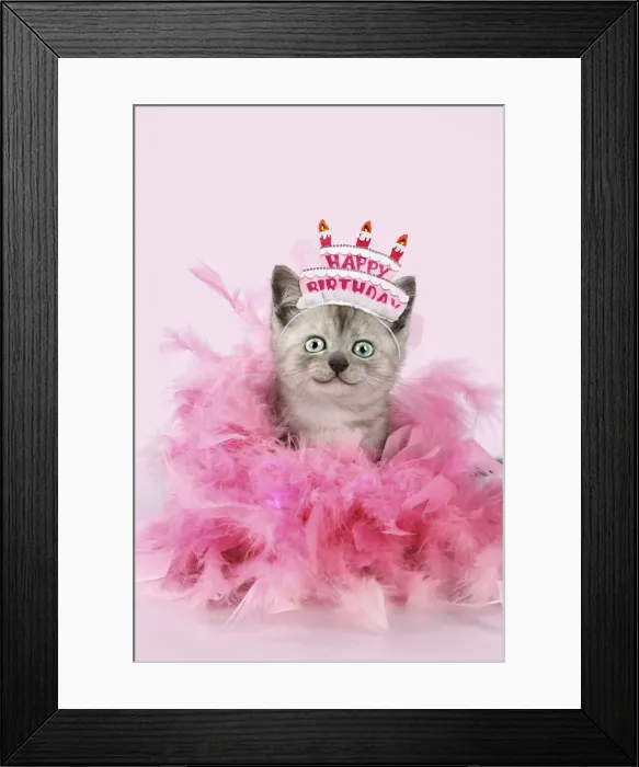 Framed Print : Picture No. 12479610 Framed Print : Picture No. 12479610