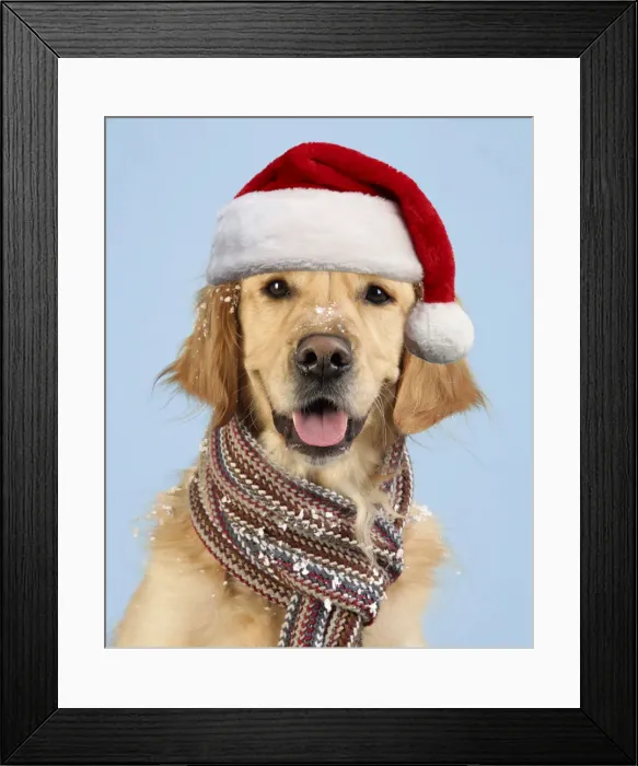 Framed Print : Picture No. 12479612 Framed Print : Picture No. 12479612