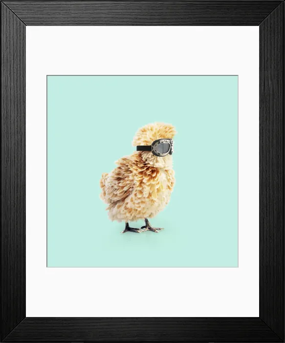 Framed Print : Picture No. 12479614 Framed Print : Picture No. 12479614