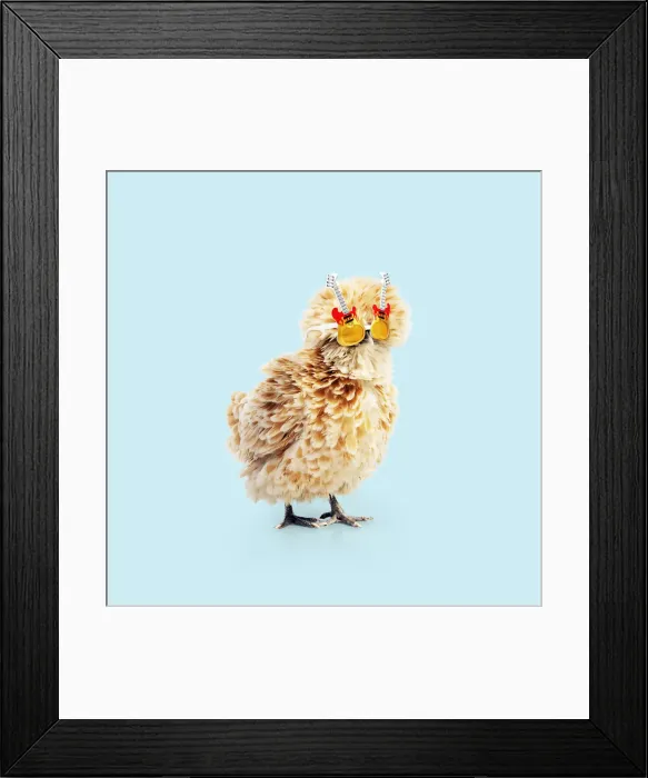 Framed Print : Picture No. 12479615 Framed Print : Picture No. 12479615