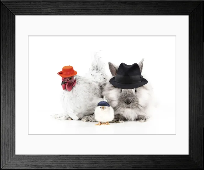 Framed Print : Picture No. 12479616