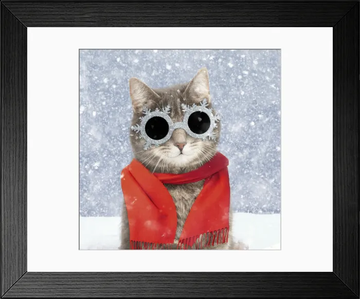 Framed Print : Picture No. 12479618 Framed Print : Picture No. 12479618
