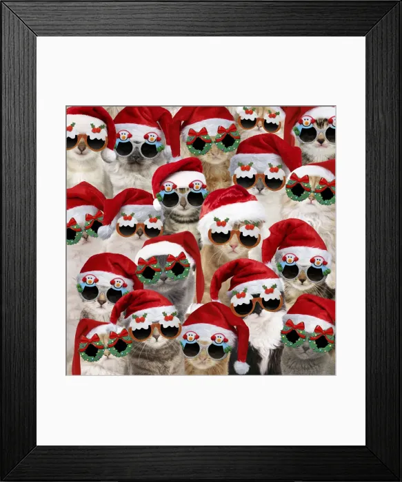 Framed Print : Picture No. 12479622 Framed Print : Picture No. 12479622