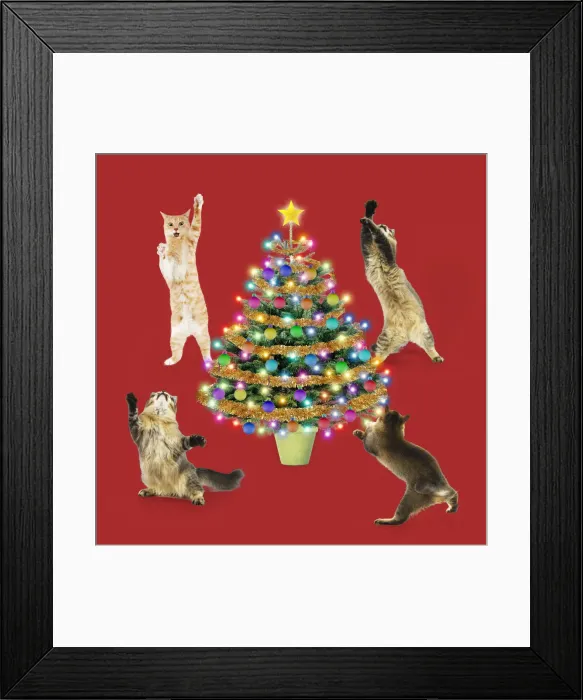 Framed Print : Picture No. 12479629 Framed Print : Picture No. 12479629