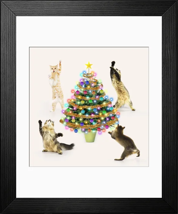 Framed Print : Picture No. 12479630 Framed Print : Picture No. 12479630