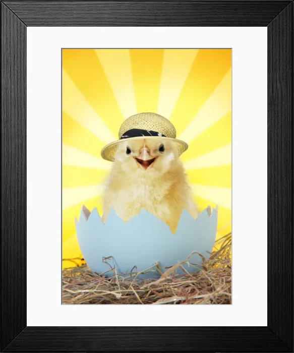 Framed Print : Picture No. 12479902 Framed Print : Picture No. 12479902