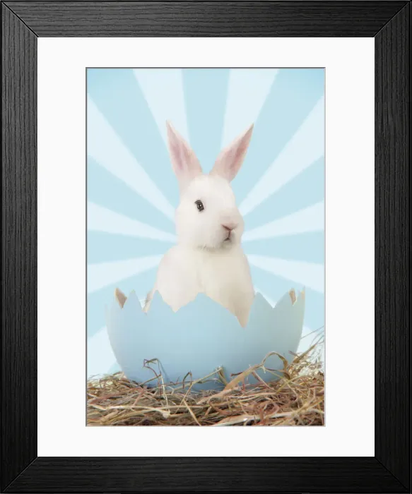 Framed Print : Picture No. 12479903 Framed Print : Picture No. 12479903