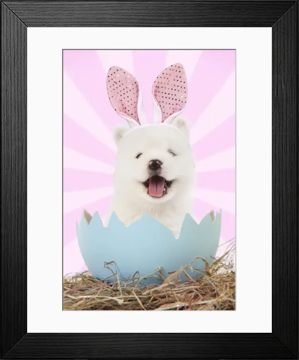 Framed Print : Picture No. 12479904 Framed Print : Picture No. 12479904