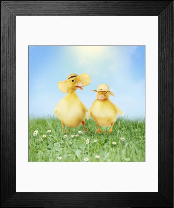 Framed Print : Picture No. 12479900 Framed Print : Picture No. 12479900