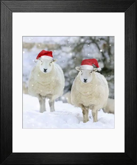 Framed Print : Picture No. 12479909 Framed Print : Picture No. 12479909