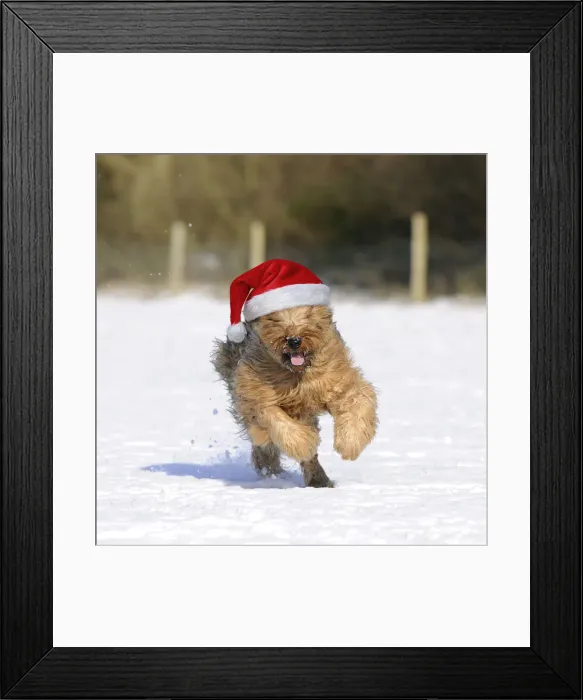 Framed Print : Picture No. 12479910