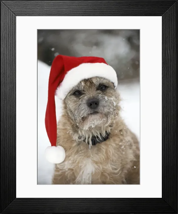 Framed Print : Picture No. 12479913 Framed Print : Picture No. 12479913