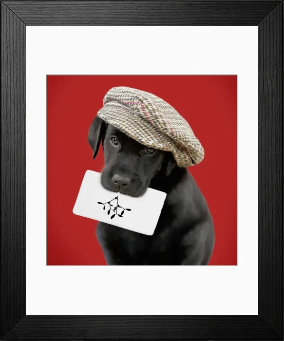 Framed Print : Picture No. 12479914 Framed Print : Picture No. 12479914
