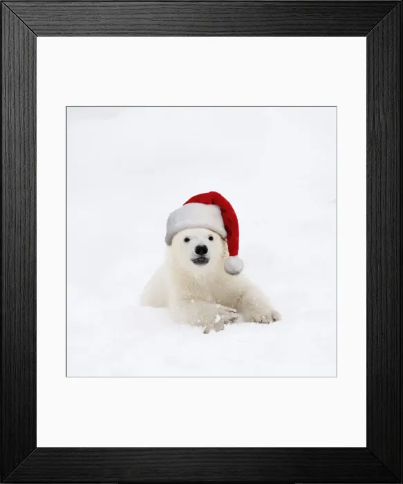 Framed Print : Picture No. 12479915 Framed Print : Picture No. 12479915