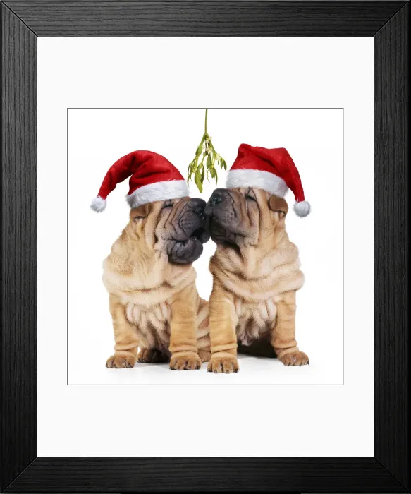Framed Print : Picture No. 12479916 Framed Print : Picture No. 12479916
