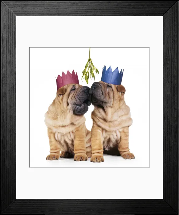 Framed Print : Picture No. 12479917 Framed Print : Picture No. 12479917