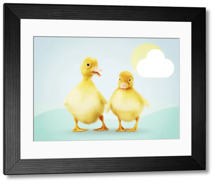 Framed Print : Picture No. 12479918 Framed Print : Picture No. 12479918