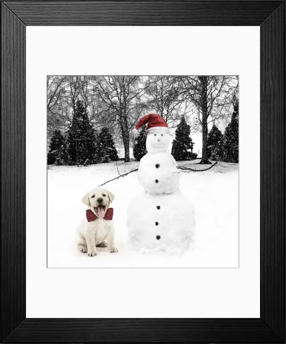 Framed Print : Picture No. 12479963 Framed Print : Picture No. 12479963