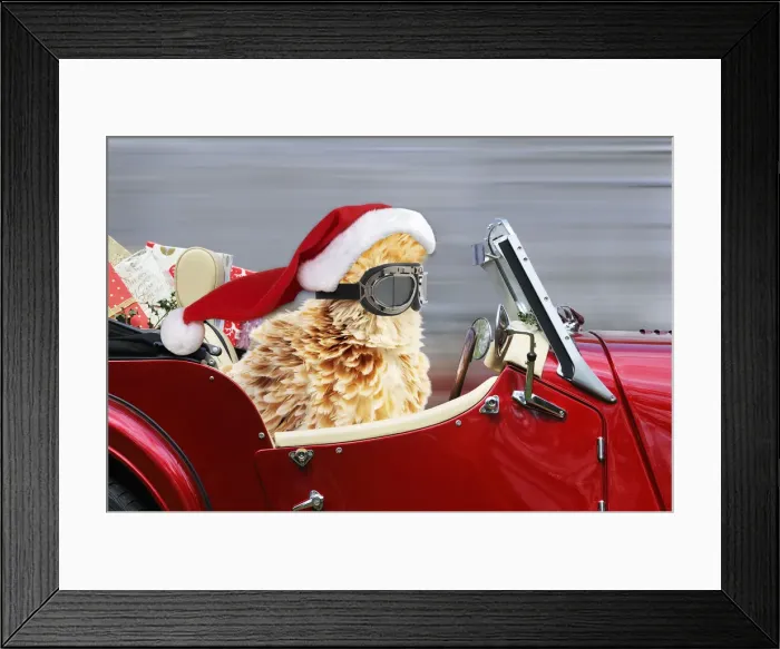 Framed Print : Picture No. 12479908 Framed Print : Picture No. 12479908