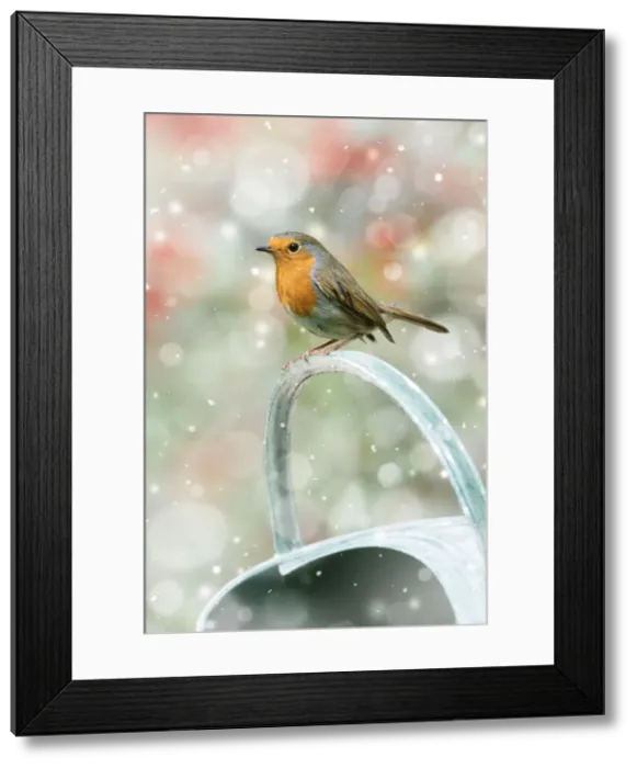 Framed Print : Picture No. 12479971 Framed Print : Picture No. 12479971