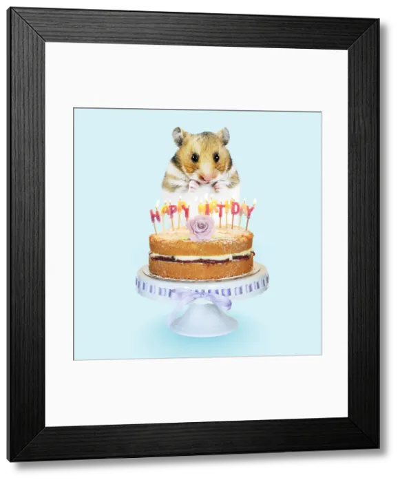 Framed Print : Picture No. 12479974 Framed Print : Picture No. 12479974