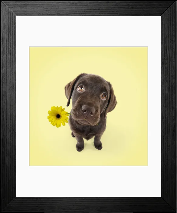 Framed Print : Picture No. 12479975 Framed Print : Picture No. 12479975