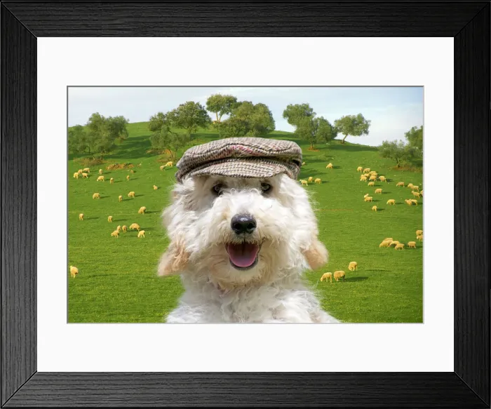 Framed Print : Picture No. 12479979