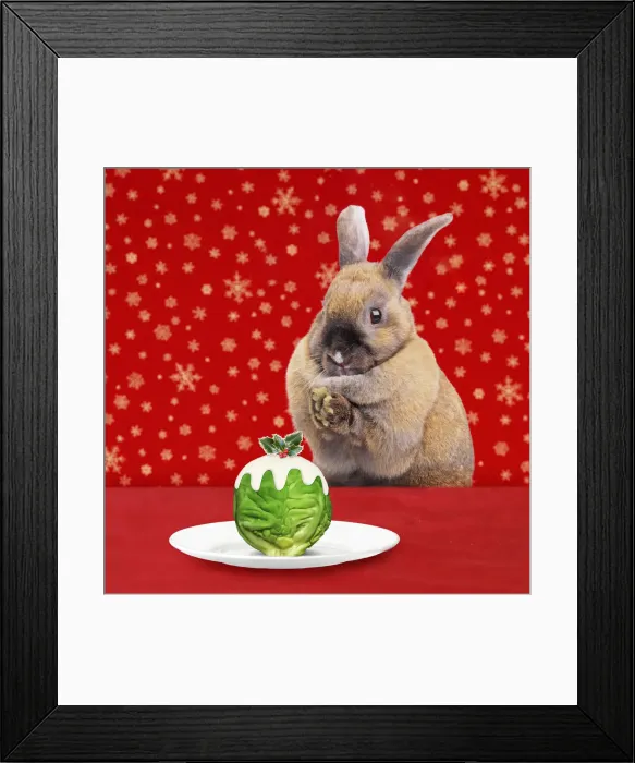 Framed Print : Picture No. 12479970 Framed Print : Picture No. 12479970