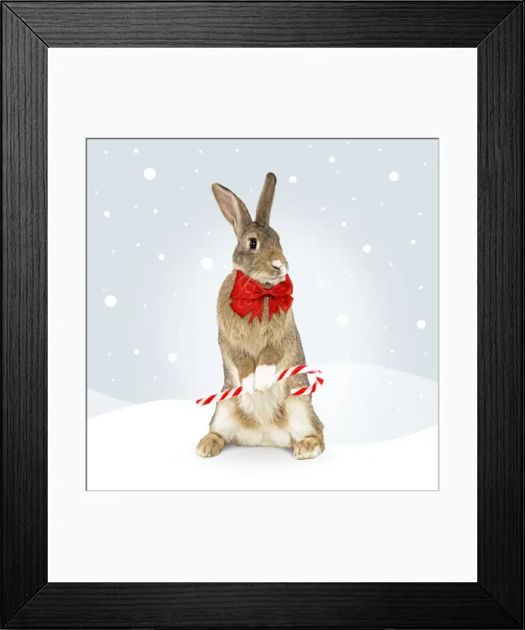 Framed Print : Picture No. 12479981