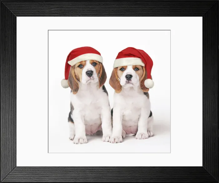 Framed Print : Picture No. 12480046 Framed Print : Picture No. 12480046
