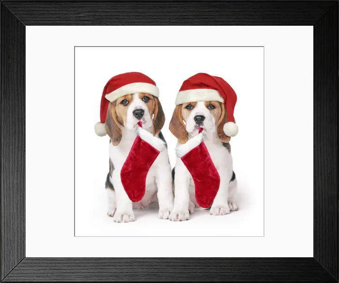Framed Print : Picture No. 12480047 Framed Print : Picture No. 12480047
