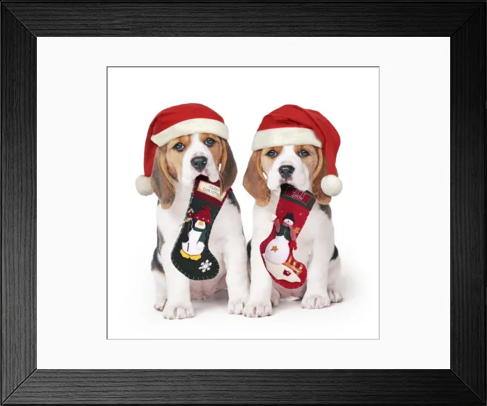 Framed Print : Picture No. 12480048 Framed Print : Picture No. 12480048