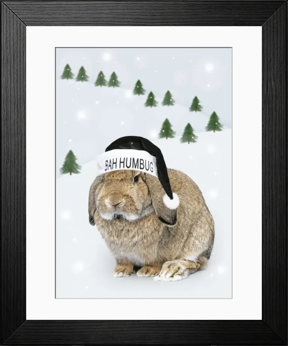 Framed Print : Picture No. 12480049 Framed Print : Picture No. 12480049