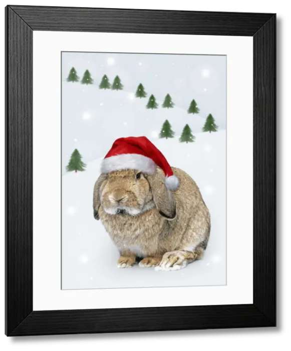 Framed Print : Picture No. 12480050 Framed Print : Picture No. 12480050