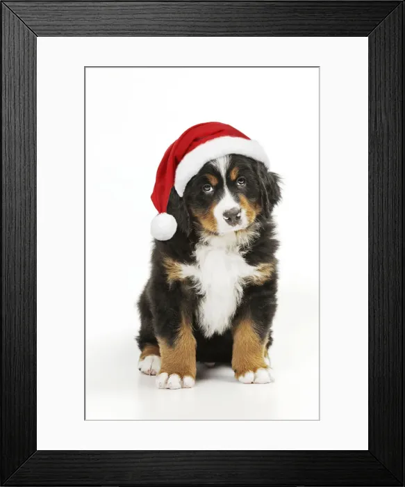 Framed Print : Picture No. 12480052 Framed Print : Picture No. 12480052