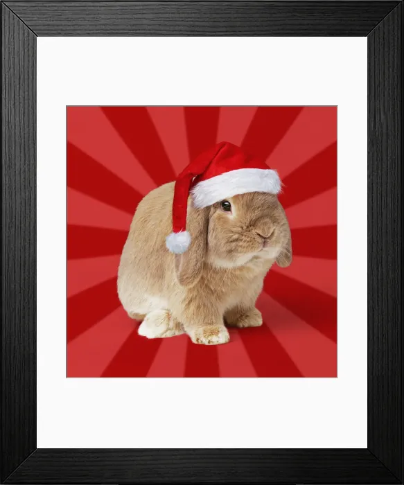 Framed Print : Picture No. 12480051 Framed Print : Picture No. 12480051