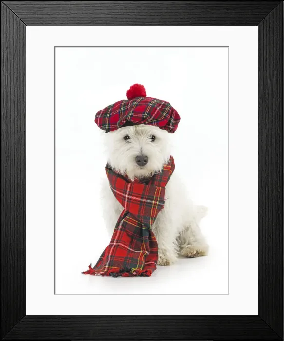 Framed Print : Picture No. 12480054 Framed Print : Picture No. 12480054
