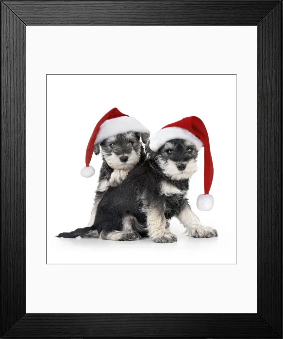 Framed Print : Picture No. 12480056 Framed Print : Picture No. 12480056