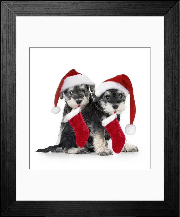 Framed Print : Picture No. 12480058