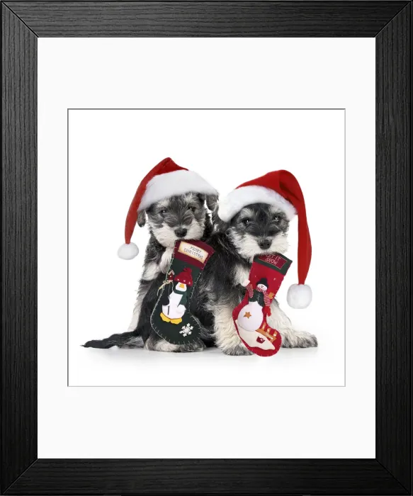 Framed Print : Picture No. 12480057 Framed Print : Picture No. 12480057