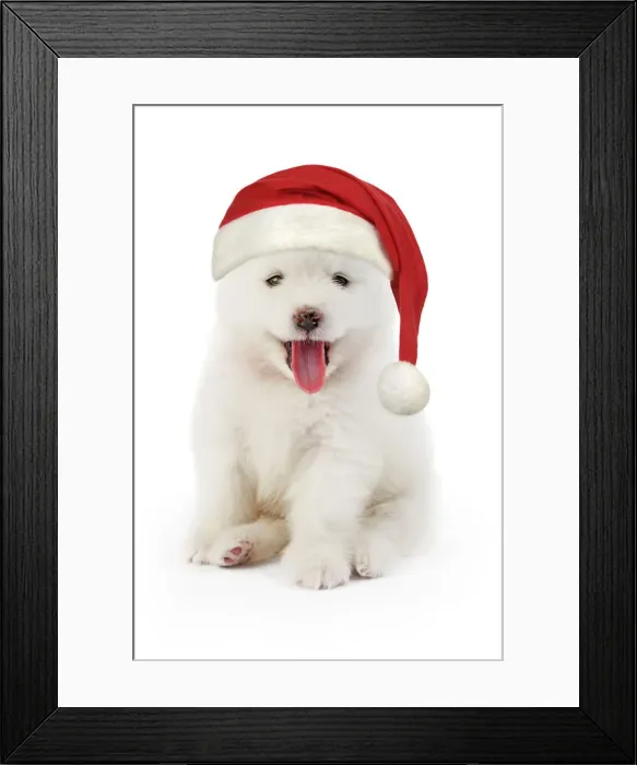 Framed Print : Picture No. 12480059