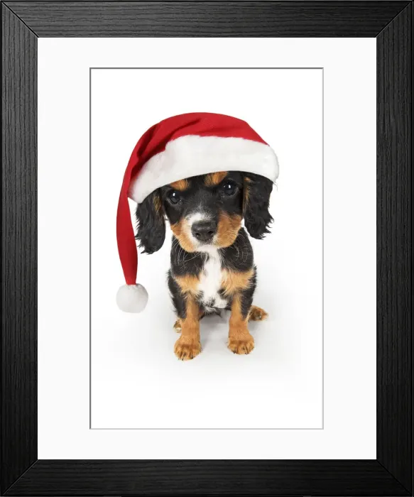 Framed Print : Picture No. 12480063 Framed Print : Picture No. 12480063