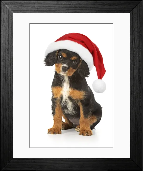 Framed Print : Picture No. 12480064 Framed Print : Picture No. 12480064